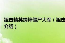 狙击精英纳粹僵尸大军（狙击精英：纳粹僵尸部队2相关内容简介介绍）