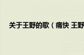 关于王野的歌（痛快 王野演唱歌曲相关内容简介介绍）