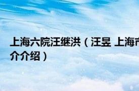 上海六院汪继洪（汪昱 上海市第六人民医院主任医师相关内容简介介绍）