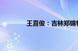 王喜俊：吉林郑锦物流有限公司司机简介