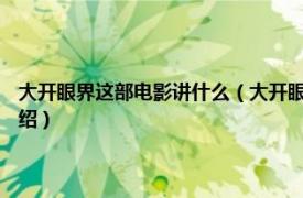 大开眼界这部电影讲什么（大开眼界 2017年思然执导电影相关内容简介介绍）