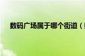 数码广场属于哪个街道（数码广场相关内容简介介绍）