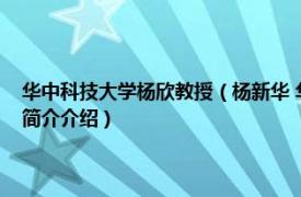 华中科技大学杨欣教授（杨新华 华中科技大学教授、博士生导师相关内容简介介绍）