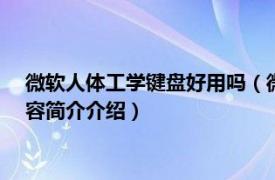 微软人体工学键盘好用吗（微软Surface人体工程学键盘相关内容简介介绍）