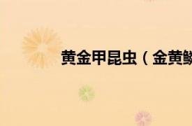 黄金甲昆虫（金黄鳞虫相关内容简介介绍）