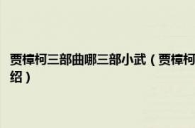 贾樟柯三部曲哪三部小武（贾樟柯电影：故乡三部曲之小武相关内容简介介绍）