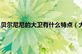 贝尔尼尼的大卫有什么特点（大卫贝尔通西尼相关内容简介介绍）