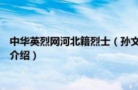 中华英烈网河北籍烈士（孙文德 河北省无极籍烈士相关内容简介介绍）