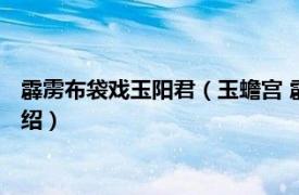 霹雳布袋戏玉阳君（玉蟾宫 霹雳布袋戏虚拟人物相关内容简介介绍）