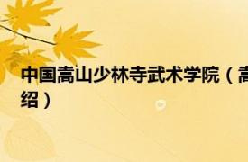 中国嵩山少林寺武术学院（嵩山少林寺武术学院相关内容简介介绍）