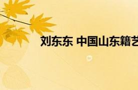 刘东东 中国山东籍艺术家相关内容简介介绍