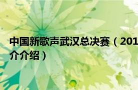 中国新歌声武汉总决赛（2013中国好声音武汉演唱会相关内容简介介绍）