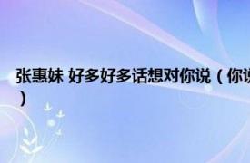 张惠妹 好多好多话想对你说（你说了算 张惠妹演唱歌曲相关内容简介介绍）