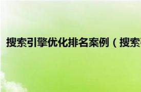 搜索引擎优化排名案例（搜索引擎排名优化相关内容简介介绍）