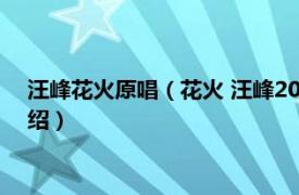 汪峰花火原唱（花火 汪峰2000年发行音乐专辑相关内容简介介绍）