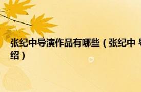 张纪中导演作品有哪些（张纪中 导演、制片人监制、演员相关内容简介介绍）