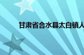 甘肃省合水县太白镇人民政府民政助理王娟介绍