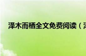 泽木而栖全文免费阅读（泽木而栖2相关内容简介介绍）