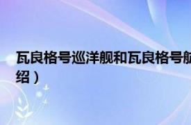 瓦良格号巡洋舰和瓦良格号航母（瓦良格巡洋舰相关内容简介介绍）