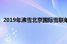 2019年沸雪北京国际雪联单板及自由式滑雪大跳台世界杯