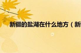 新疆的盐湖在什么地方（新疆盐湖景区相关内容简介介绍）