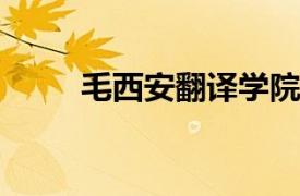 毛西安翻译学院教师相关内容简介