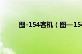 图-154客机（图—154客机相关内容简介介绍）