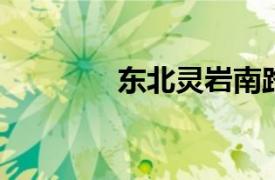 东北灵岩南路相关内容简介