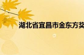 湖北省宜昌市金东方奖学金基金会相关内容简介