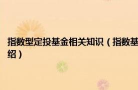 指数型定投基金相关知识（指数基金定投入门与技巧 第2版相关内容简介介绍）