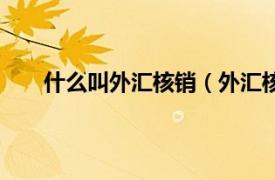 什么叫外汇核销（外汇核销指南相关内容简介介绍）