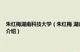 朱红梅湖南科技大学（朱红梅 湖南大学马克思主义学院教授相关内容简介介绍）