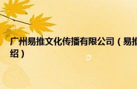 广州易推文化传播有限公司（易推网络科技 广州有限公司相关内容简介介绍）