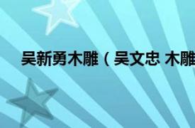 吴新勇木雕（吴文忠 木雕艺术大师相关内容简介介绍）