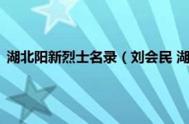 湖北阳新烈士名录（刘会民 湖北阳新籍烈士相关内容简介介绍）