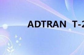 ADTRAN  T-200相关内容介绍