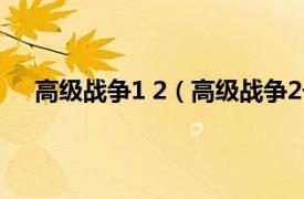 高级战争1 2（高级战争2一统天下相关内容简介介绍）