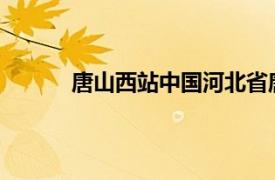 唐山西站中国河北省唐山市丰润区火车站简介