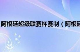 阿根廷超级联赛杯赛制（阿根廷足球超级联赛相关内容简介介绍）