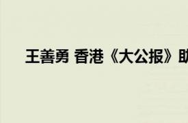 王善勇 香港《大公报》助理总编辑相关内容简介介绍