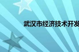 武汉市经济技术开发区管理委员会电话地址