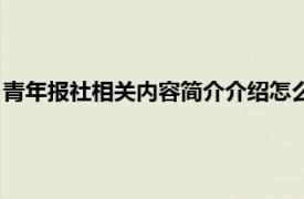 青年报社相关内容简介介绍怎么写（青年报社相关内容简介介绍）