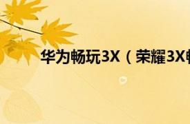 华为畅玩3X（荣耀3X畅玩版相关内容简介介绍）