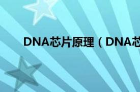 DNA芯片原理（DNA芯片技术相关内容简介介绍）