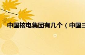 中国核电集团有几个（中国三大核电集团相关内容简介介绍）