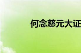 何念慈元大证券副董事长简介