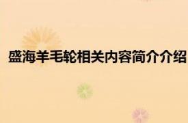 盛海羊毛轮相关内容简介介绍（盛海羊毛轮相关内容简介介绍）