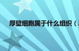 厚壁细胞属于什么组织（厚壁细胞相关内容简介介绍）