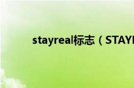 stayreal标志（STAYREAL相关内容简介介绍）