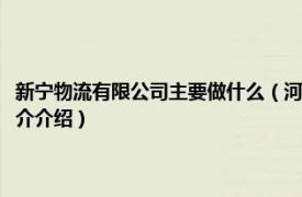 新宁物流有限公司主要做什么（河南新宁现代物流股份有限公司相关内容简介介绍）